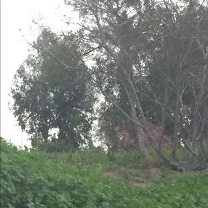 Meet your Posher, Fflor